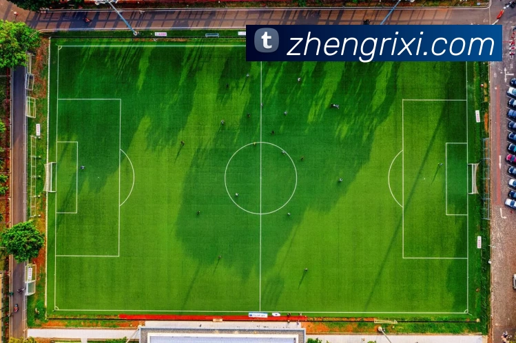 九游体育APP 高清赛事图